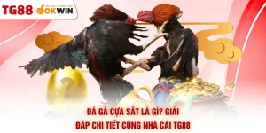 Đá Gà Cựa Sắt Là Gì? Giải Đáp Chi Tiết Cùng Nhà Cái TG88