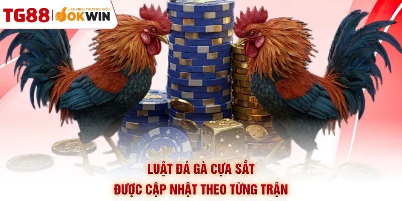 Luật đá gà cựa sắt được cập nhật theo từng trận